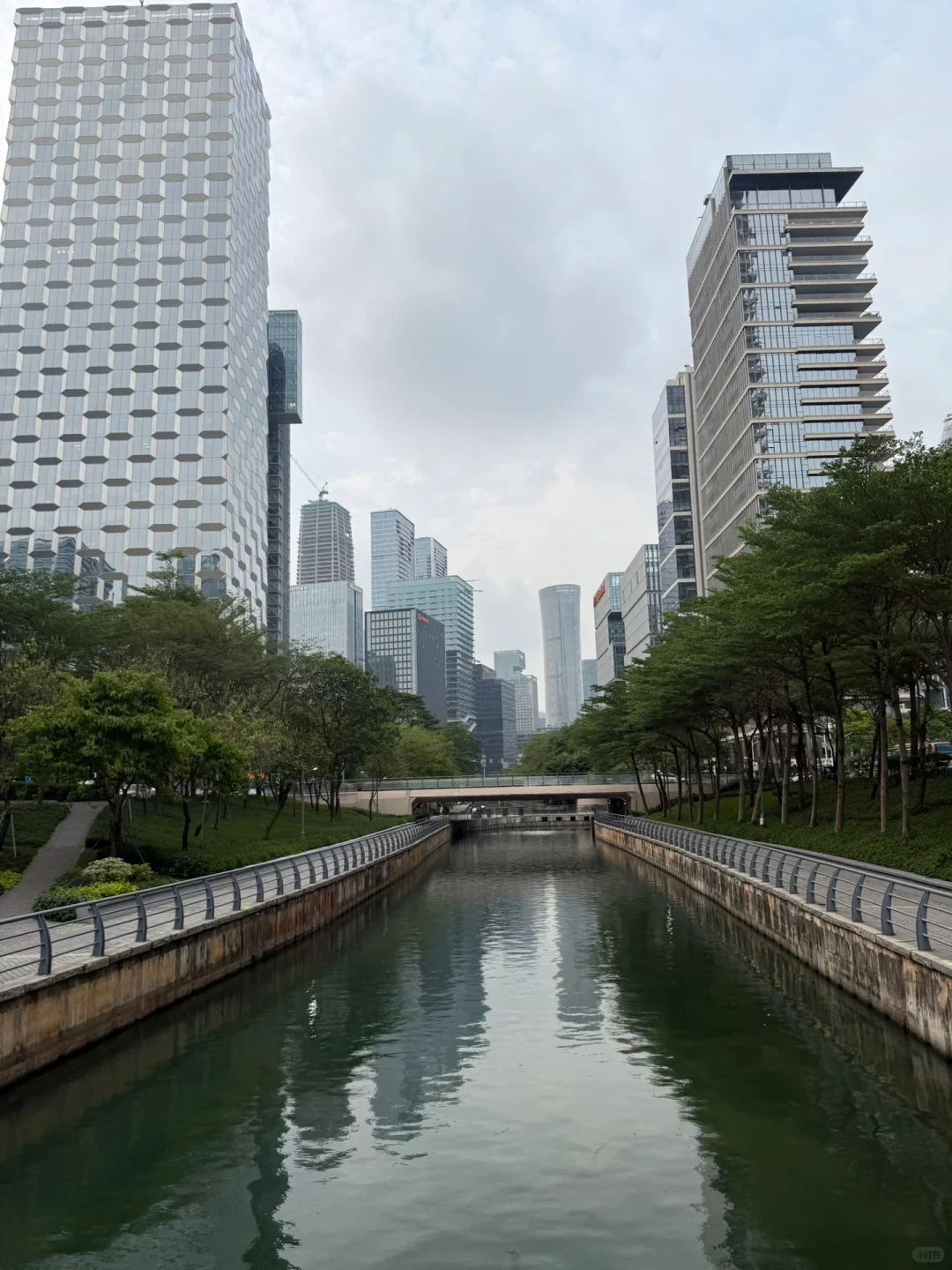 Live｜5.1别去香港人挤人了,来深圳吧！！