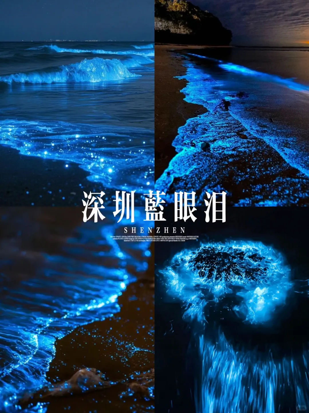 深圳大鹏蓝眼泪全攻略！荧光海的终极浪漫💙