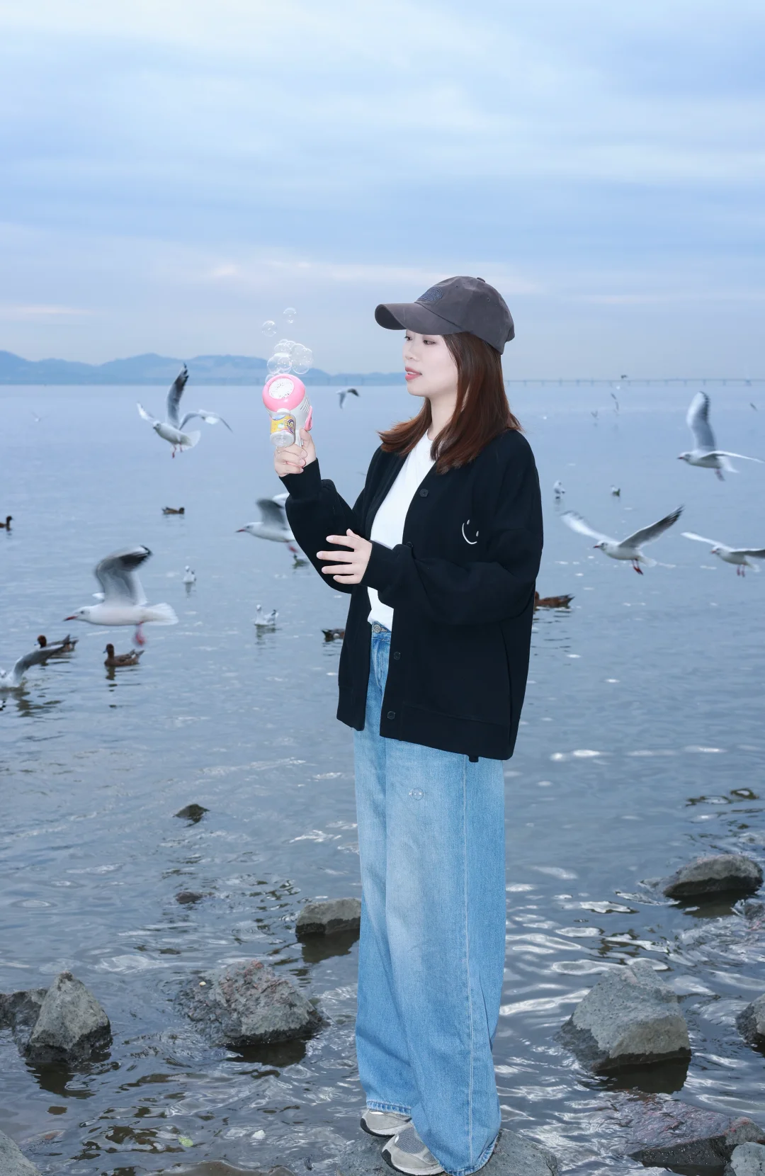 深圳湾公园冬天与海鸥如约而至