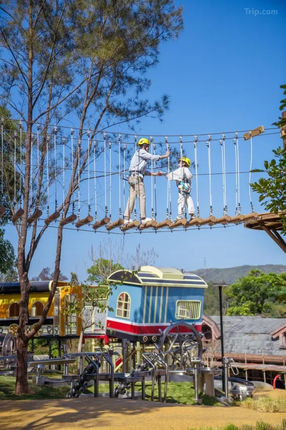 🌳深圳遛娃森系天堂攻略