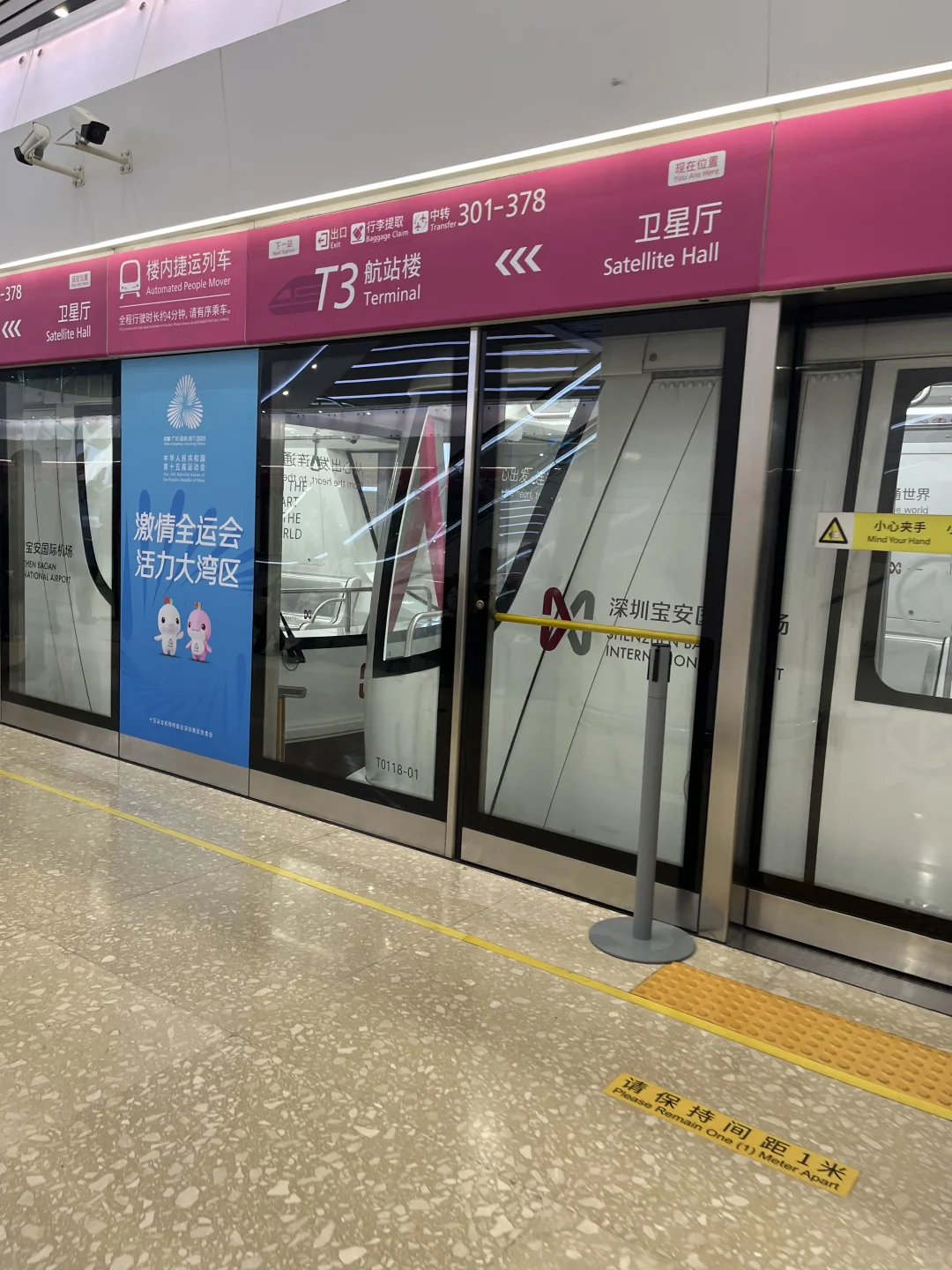 宝安机场买乳鸽亲测