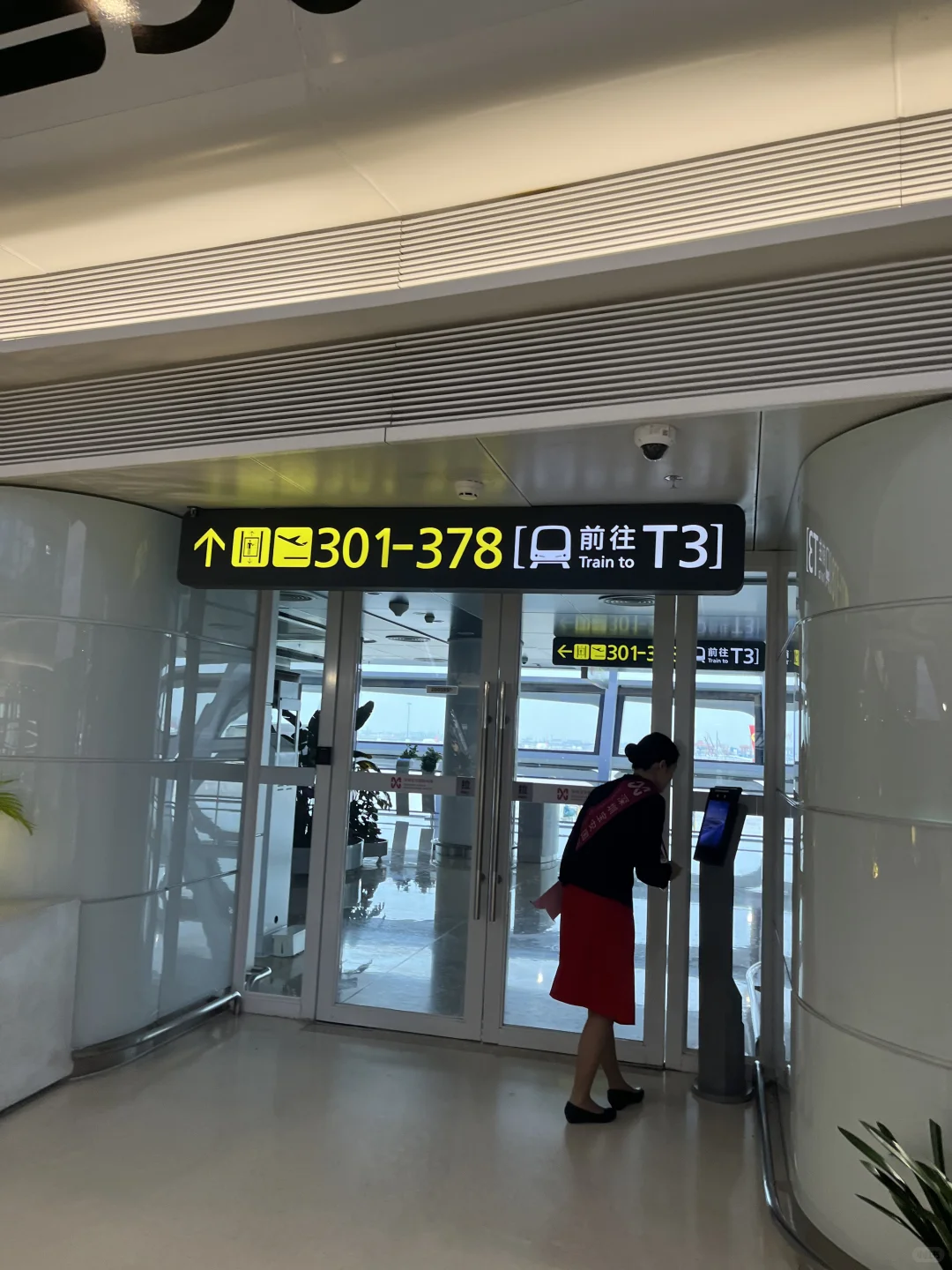 宝安机场买乳鸽亲测