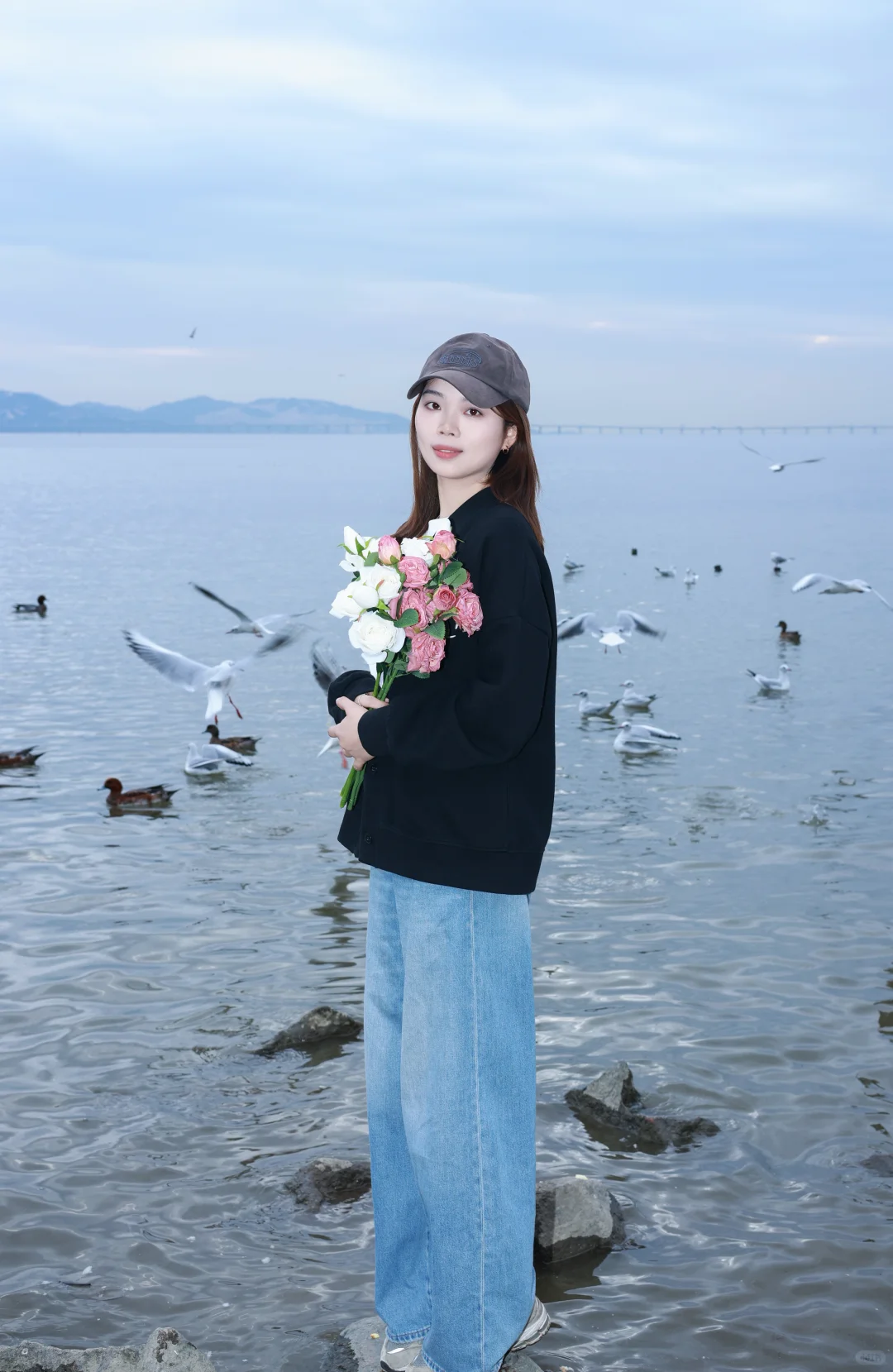 深圳湾公园冬天与海鸥如约而至