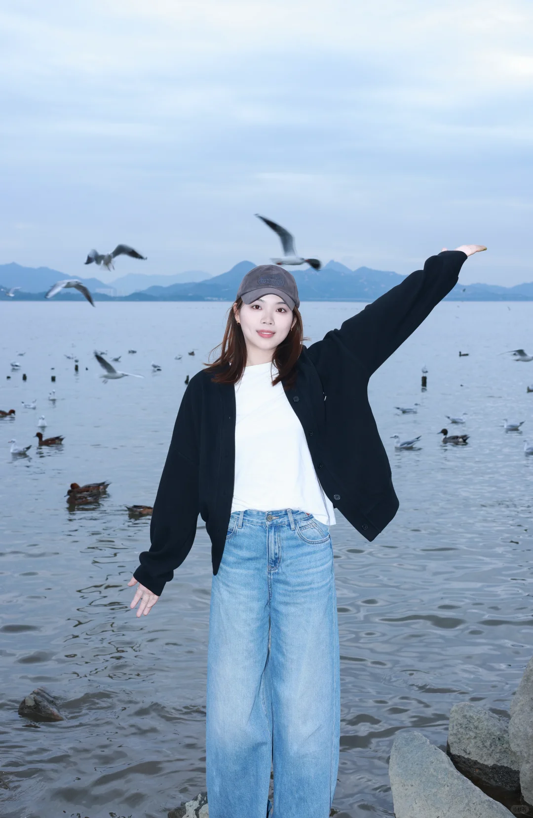 深圳湾公园冬天与海鸥如约而至