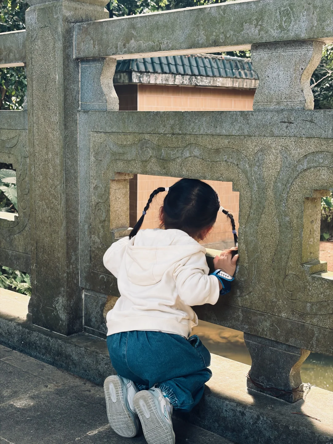 📍仙湖植物园｜有环园巴士啦🚌！附乘车攻略