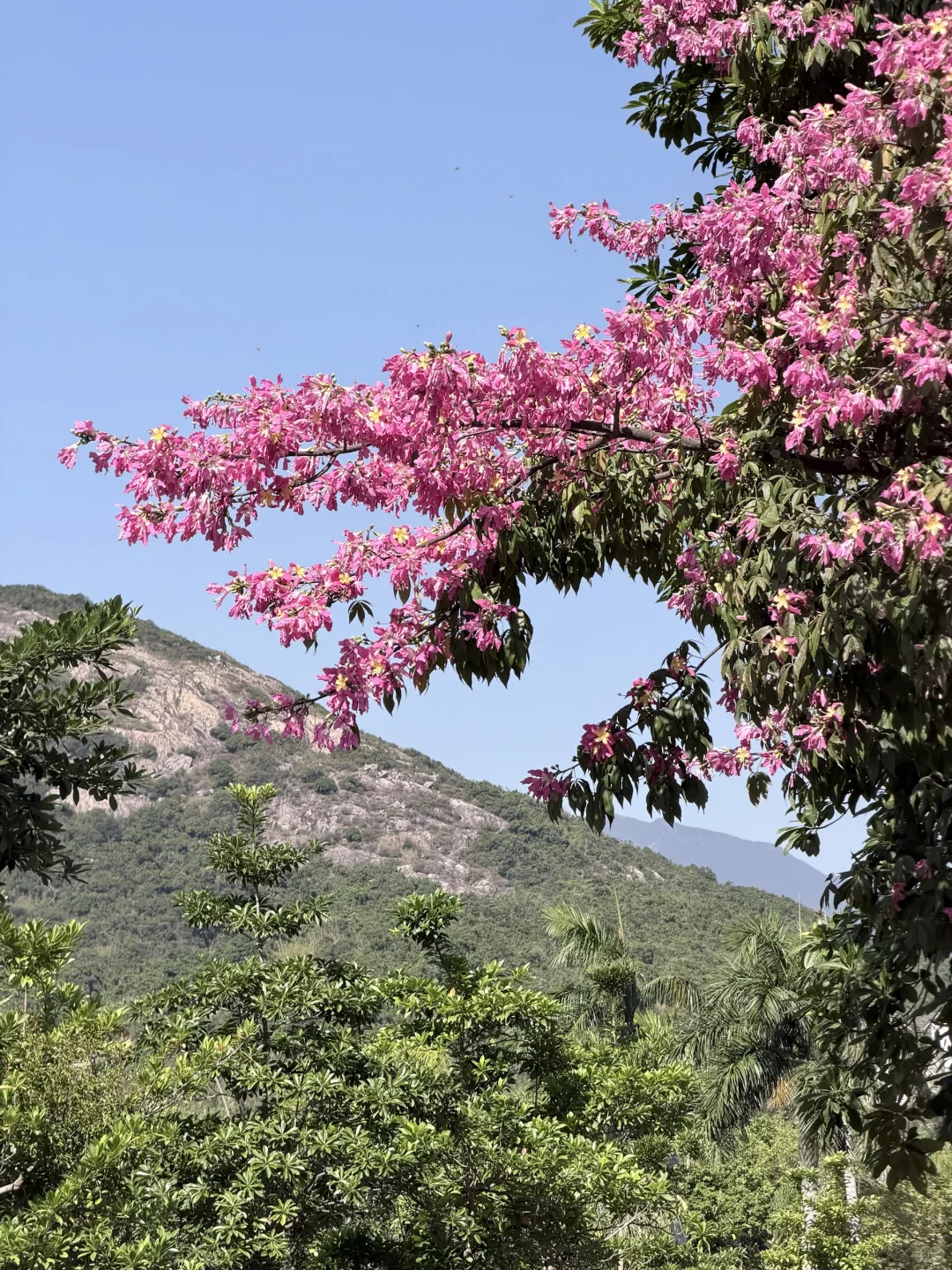 别问了！！是深圳！！不是济州岛。。