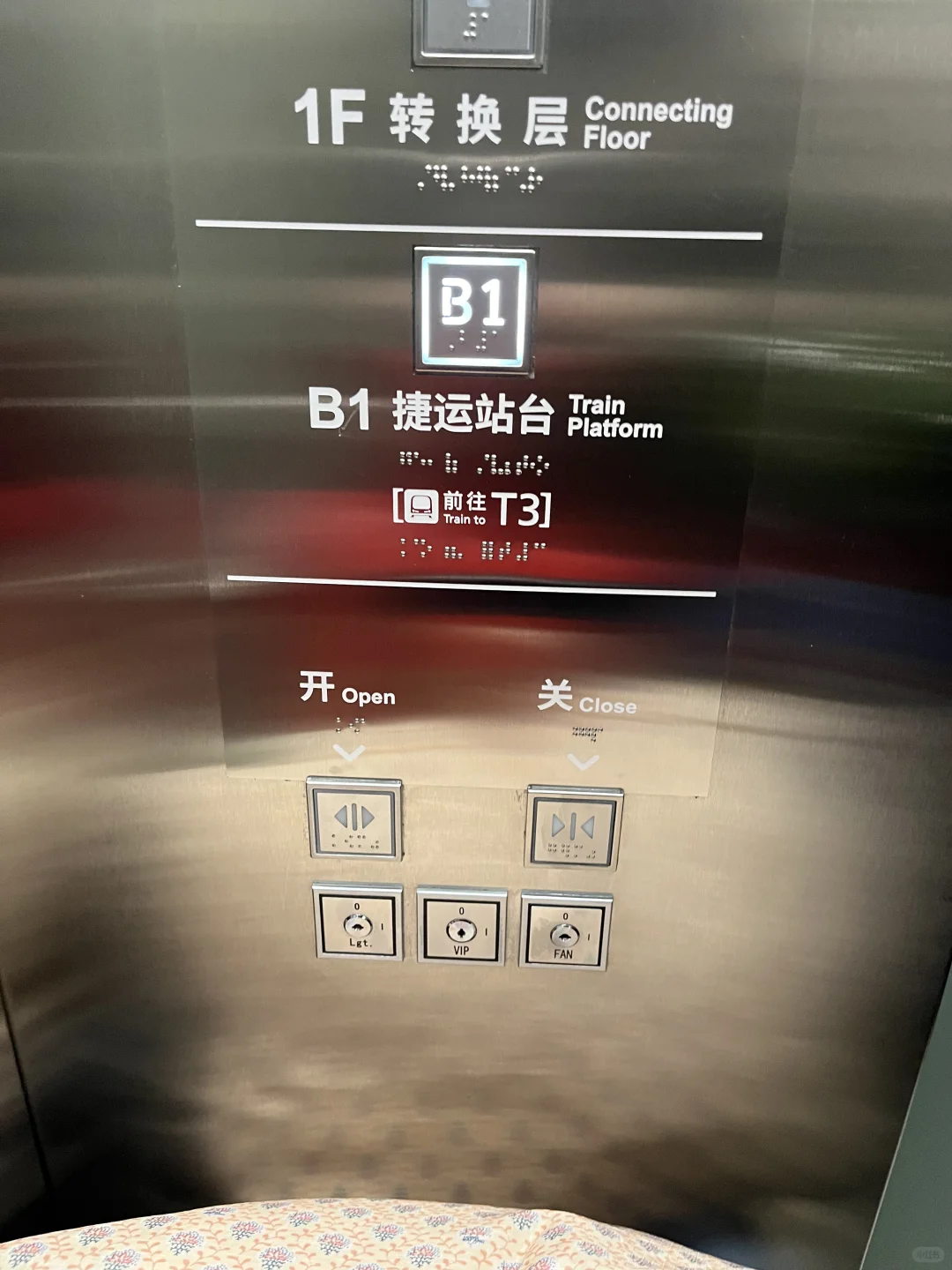 宝安机场买乳鸽亲测