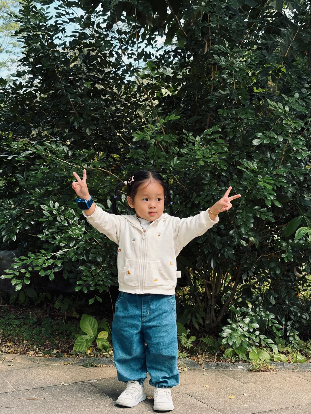 📍仙湖植物园｜有环园巴士啦🚌！附乘车攻略