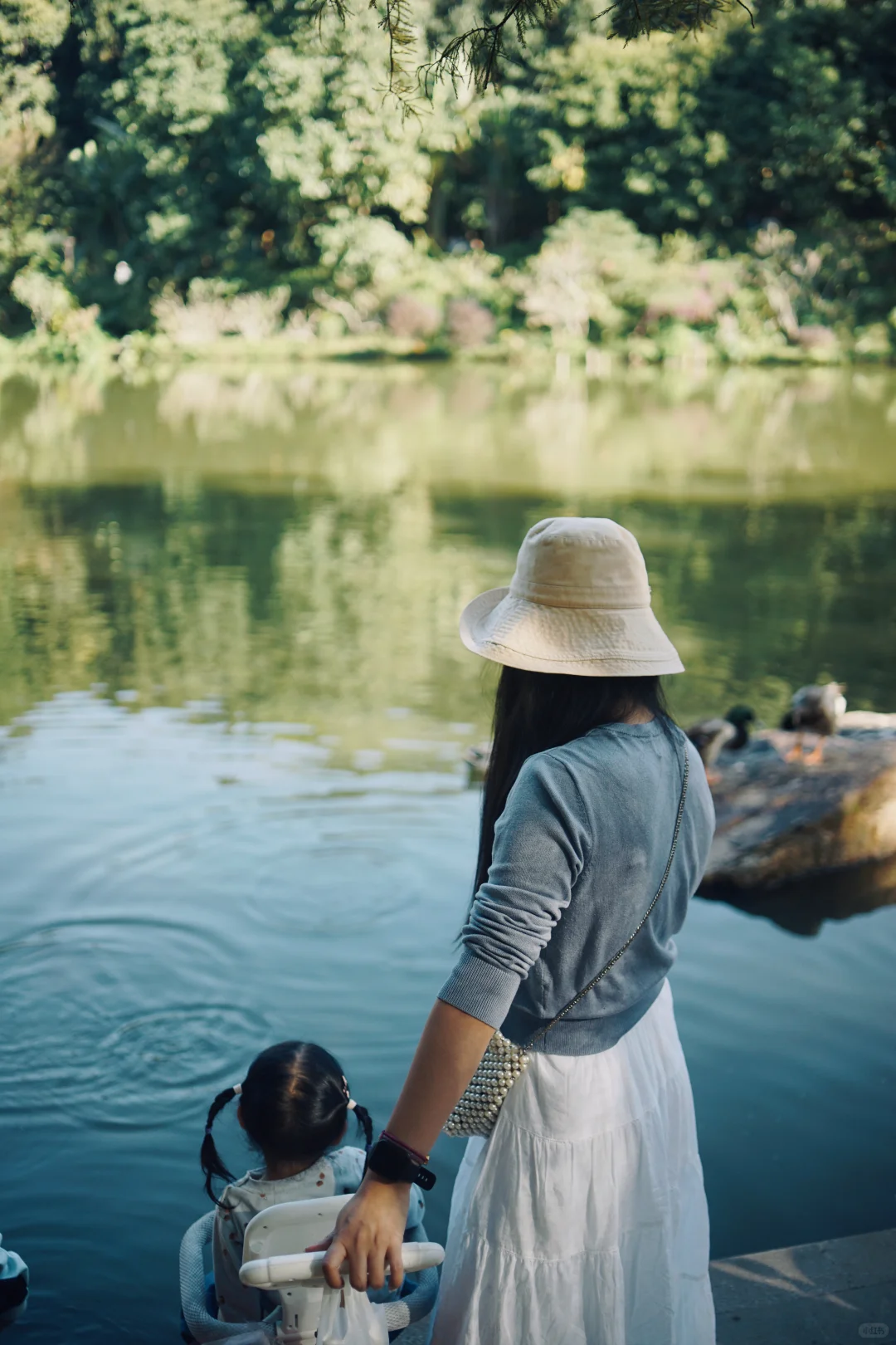 📍仙湖植物园｜有环园巴士啦🚌！附乘车攻略