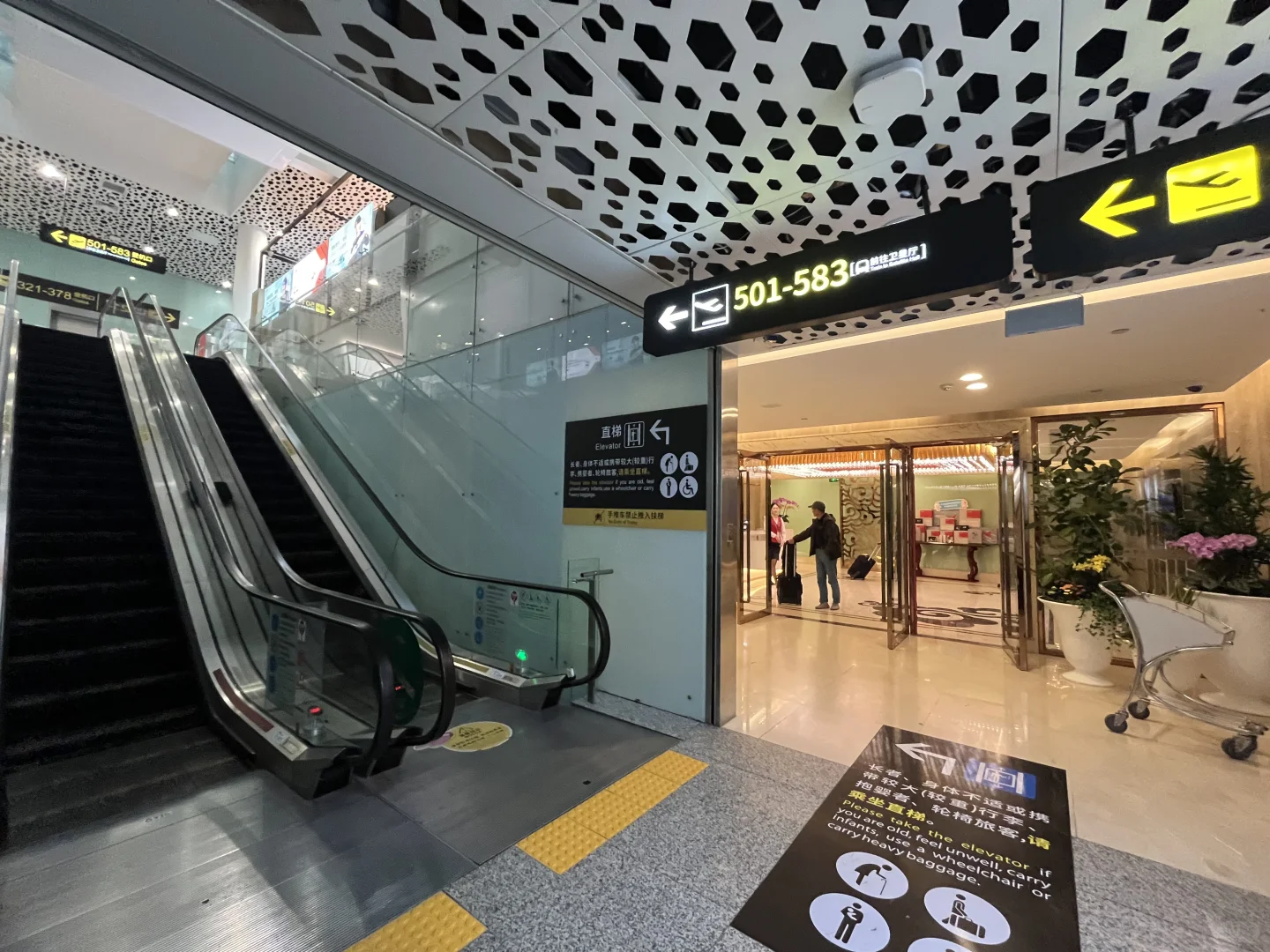 宝安机场买乳鸽亲测