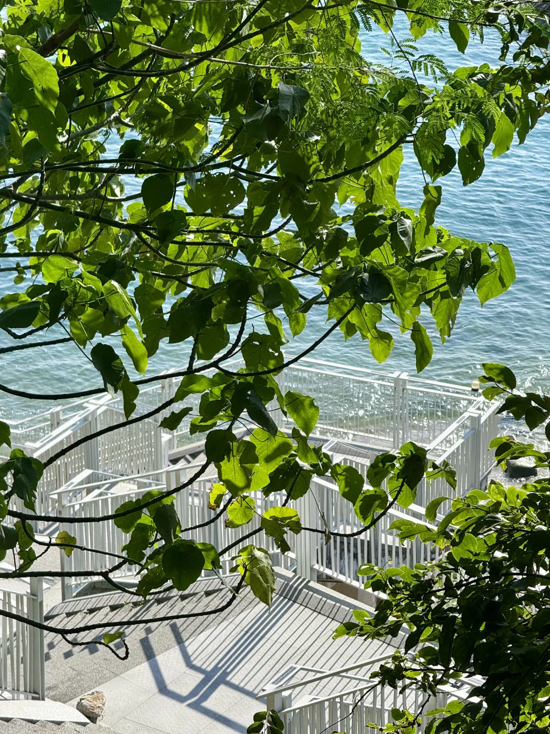 深圳大梅沙海边惬意citywalk路线🚇地铁直达