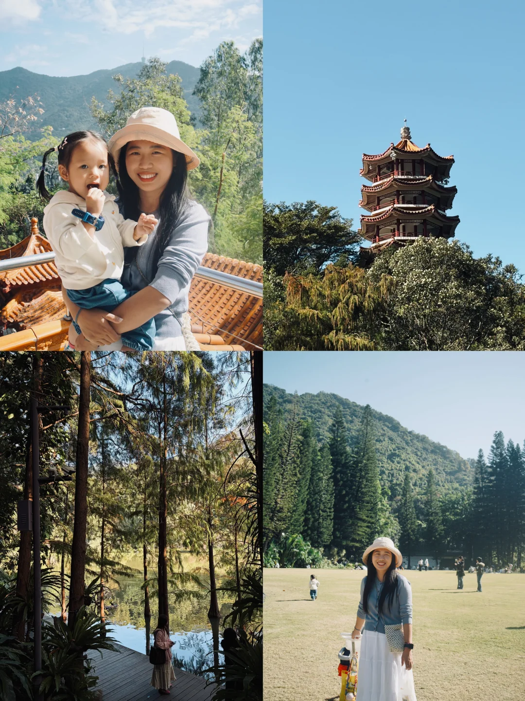 📍仙湖植物园｜有环园巴士啦🚌！附乘车攻略