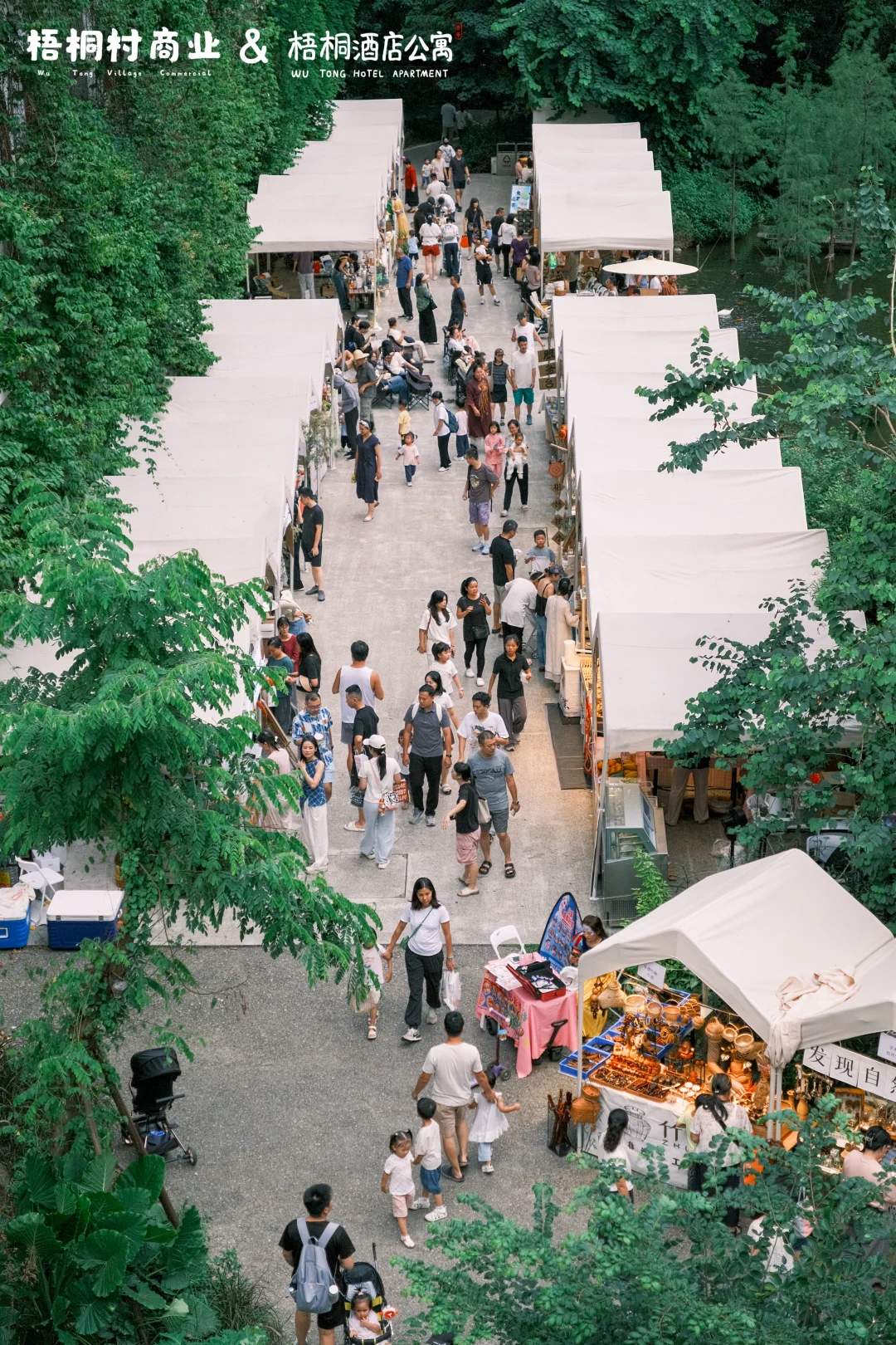 本周游牧计划⛺️深圳泰华梧桐村好市暖冬集