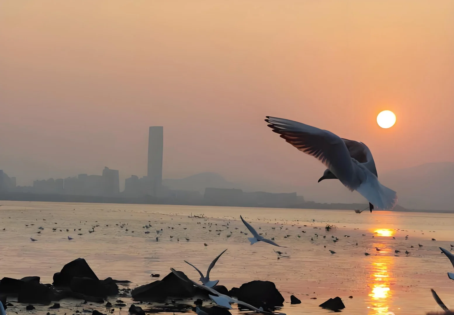 爸妈来深圳，就带他们这么玩！夸你整整一年