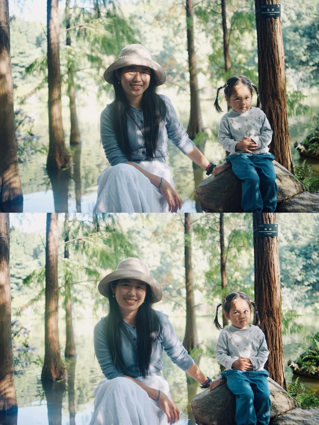 📍仙湖植物园｜有环园巴士啦🚌！附乘车攻略