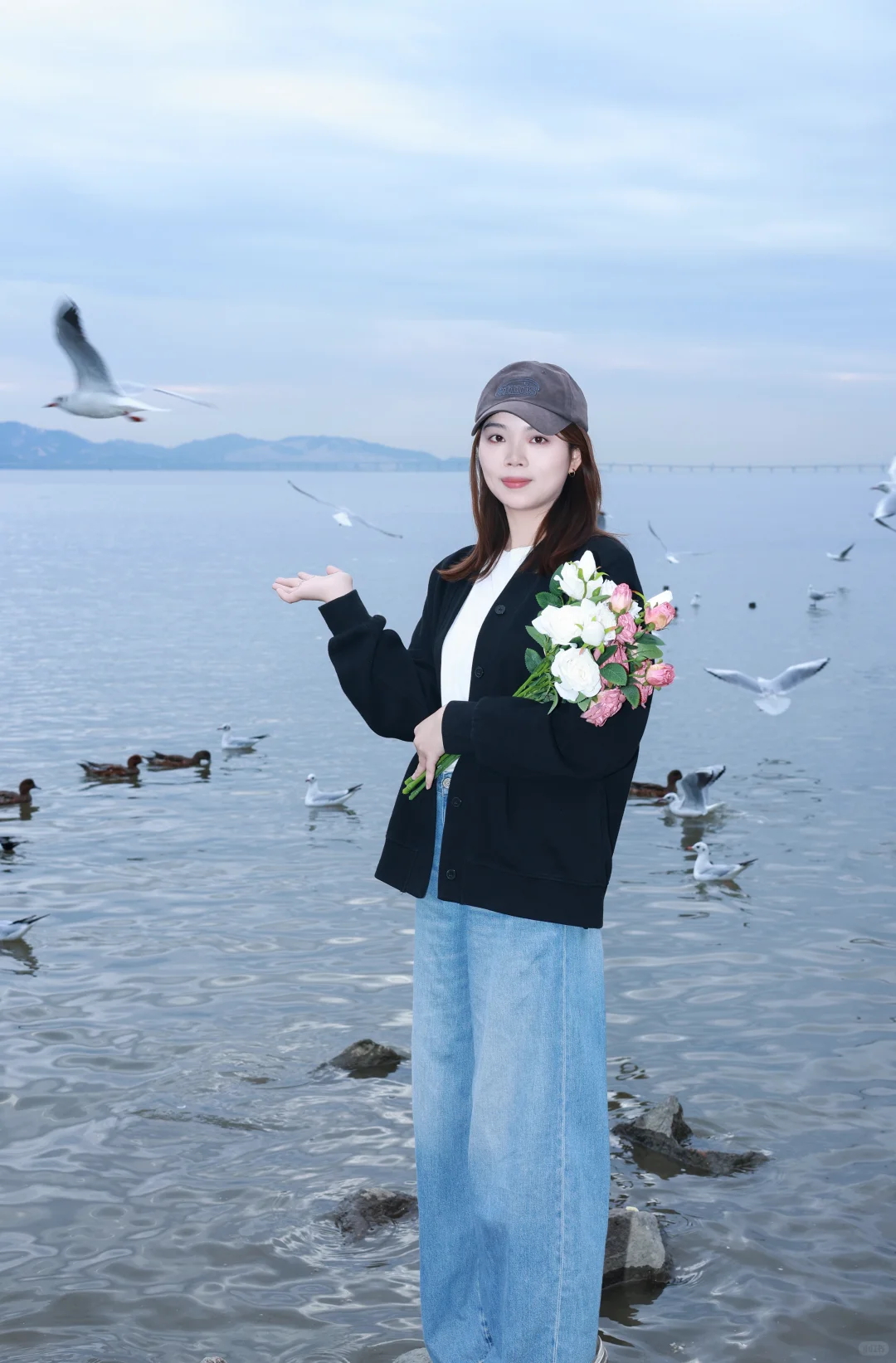 深圳湾公园冬天与海鸥如约而至