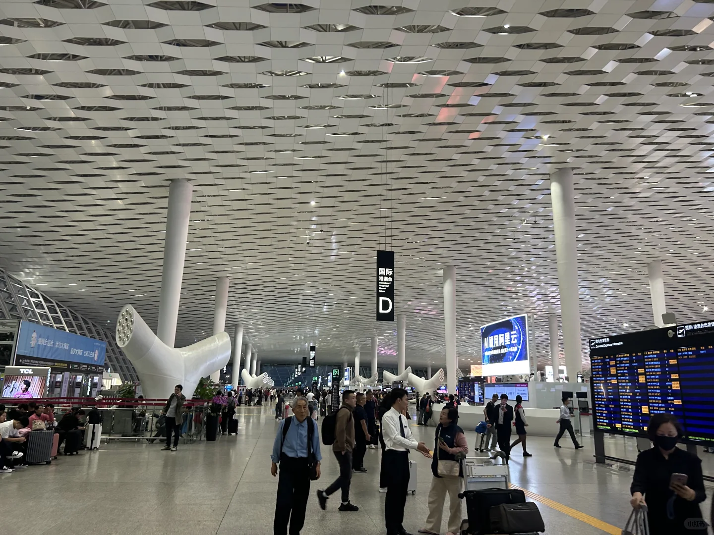 深圳今日穿衣实况（25.11.10）