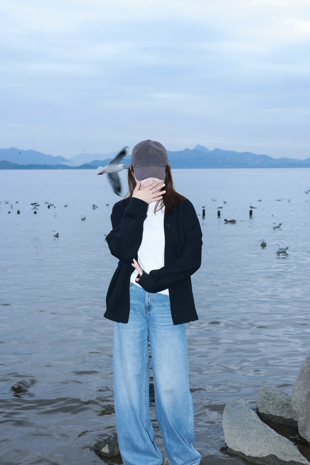 深圳湾公园冬天与海鸥如约而至