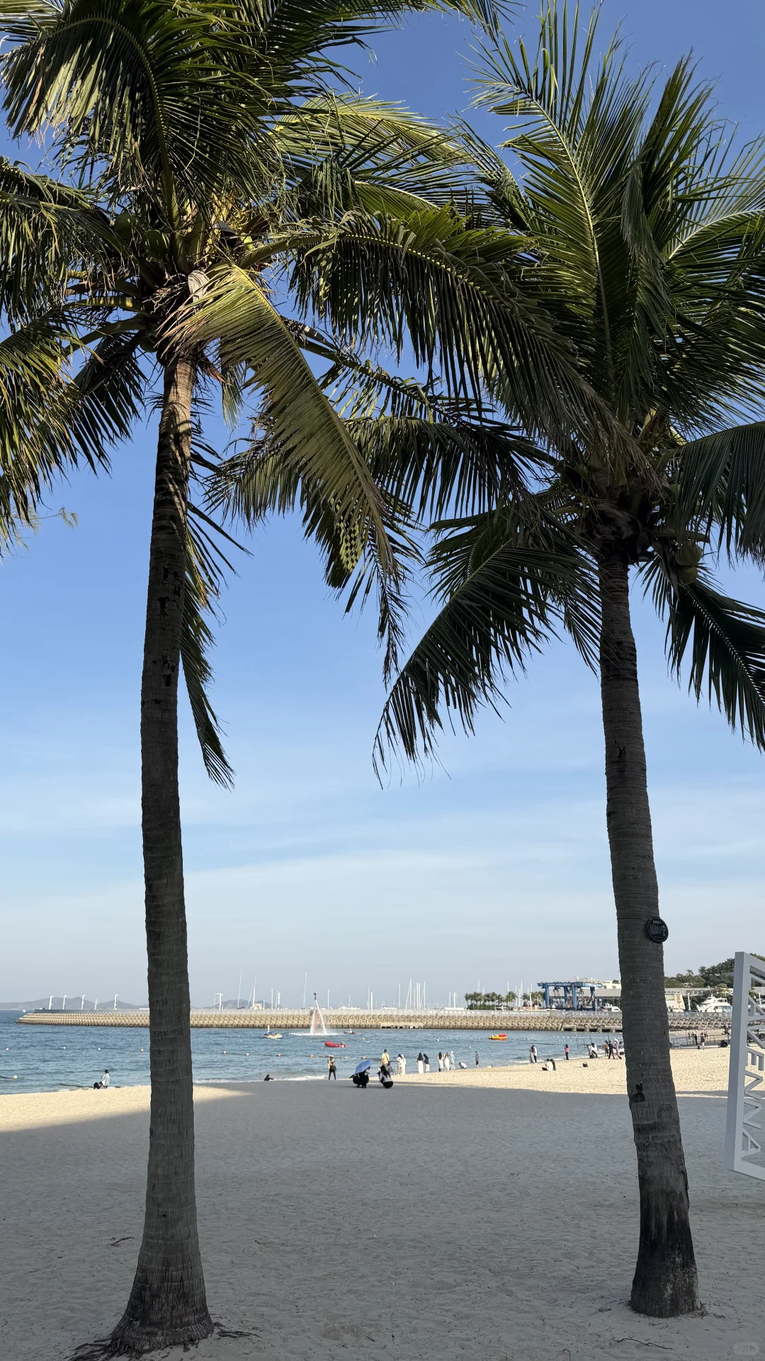 别问了！！是深圳！！不是济州岛。。