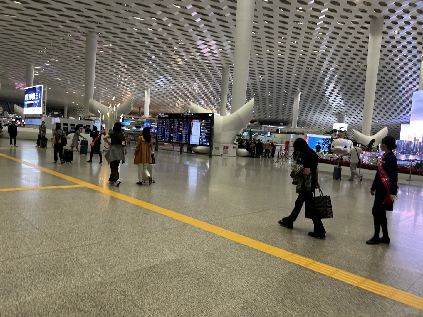 深圳今日穿衣实况（25.11.10）