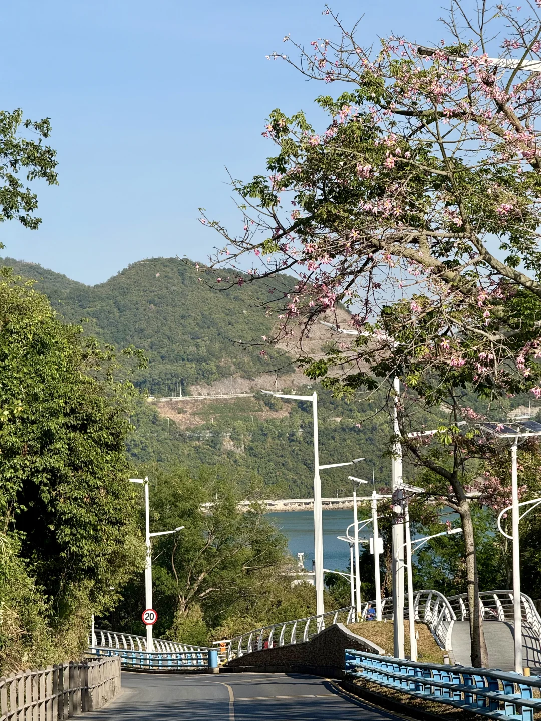 深圳大梅沙海边惬意citywalk路线🚇地铁直达