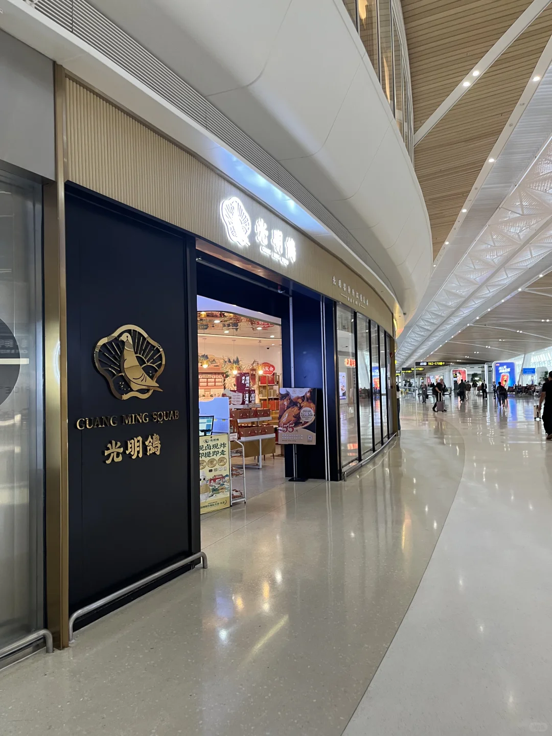 宝安机场买乳鸽亲测