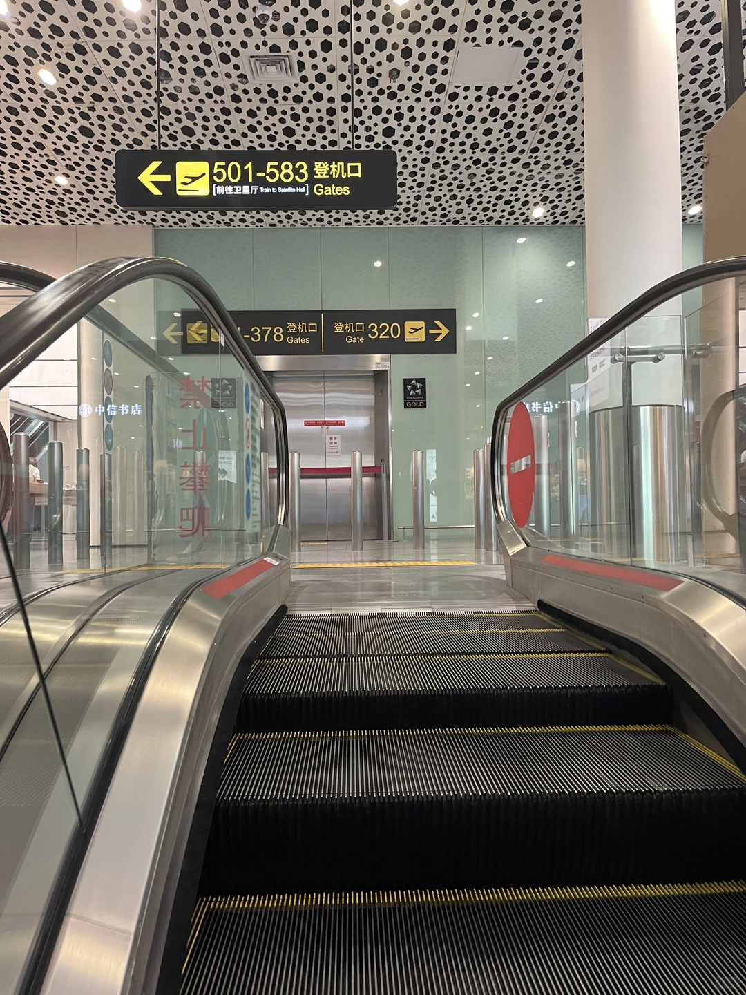 宝安机场买乳鸽亲测