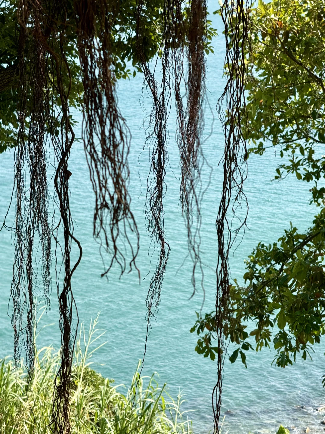 深圳大梅沙海边惬意citywalk路线🚇地铁直达