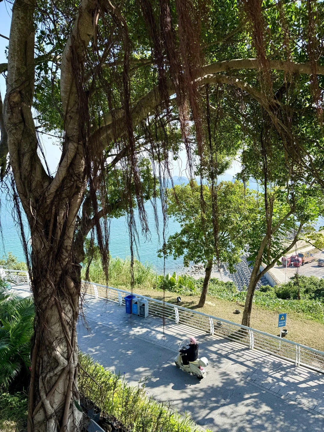 深圳大梅沙海边惬意citywalk路线🚇地铁直达