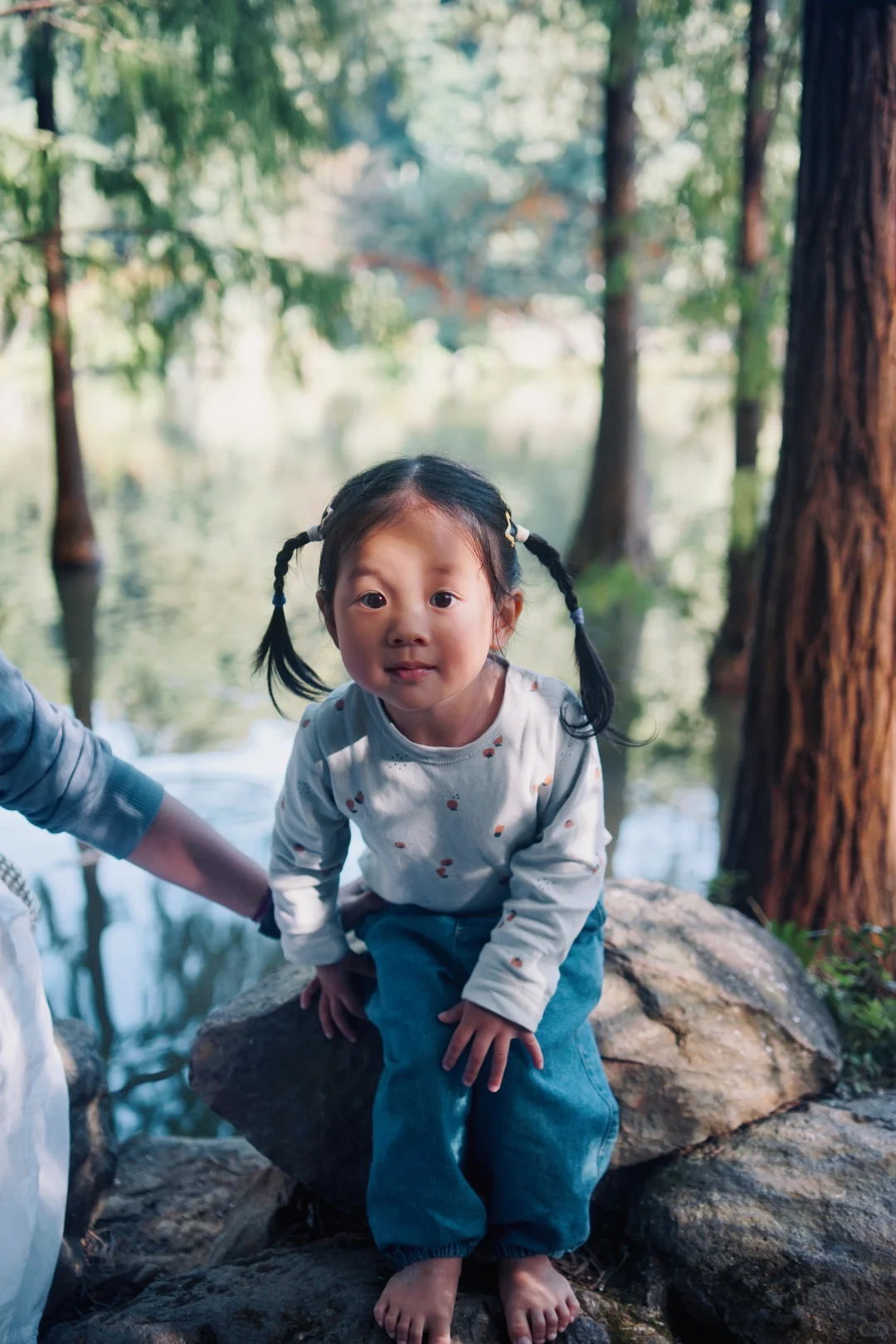 📍仙湖植物园｜有环园巴士啦🚌！附乘车攻略