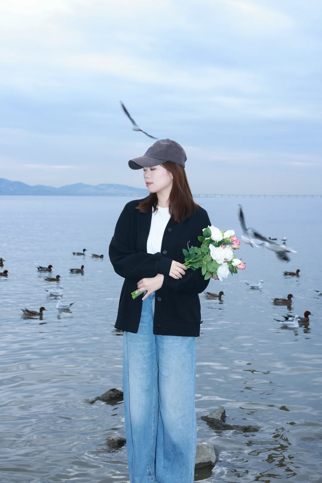 深圳湾公园冬天与海鸥如约而至