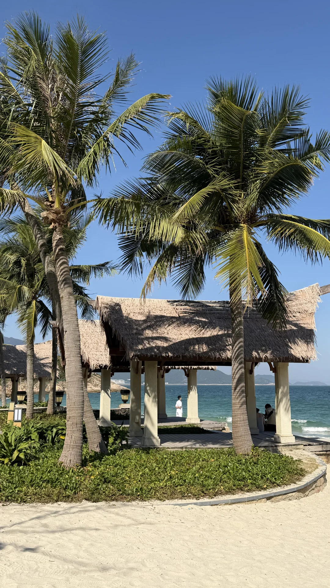 别问了！！是深圳！！不是济州岛。。