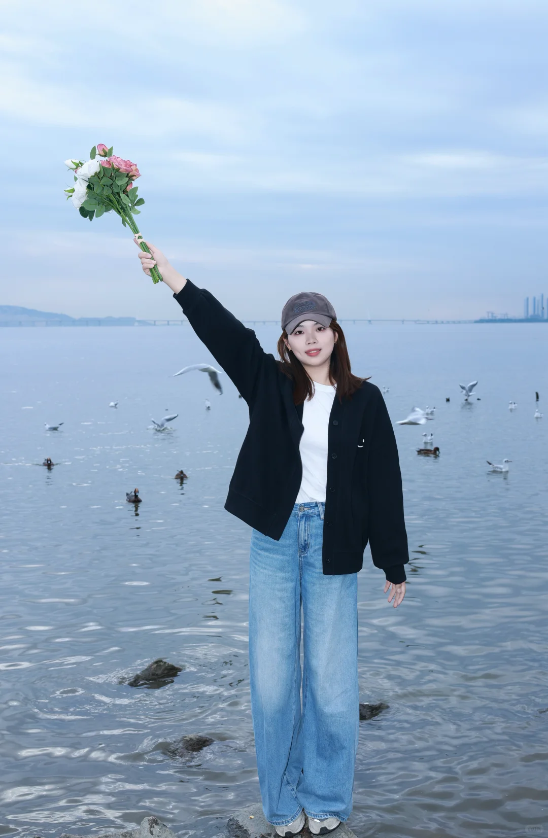 深圳湾公园冬天与海鸥如约而至