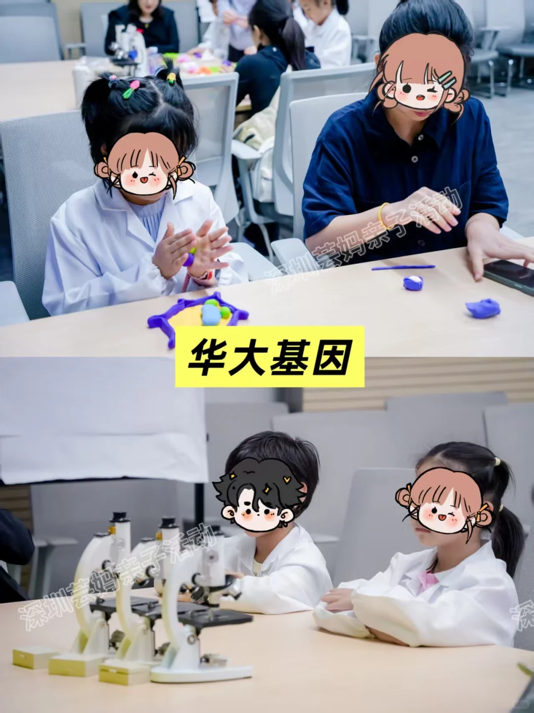 为什么一定要带小孩去一趟深圳～