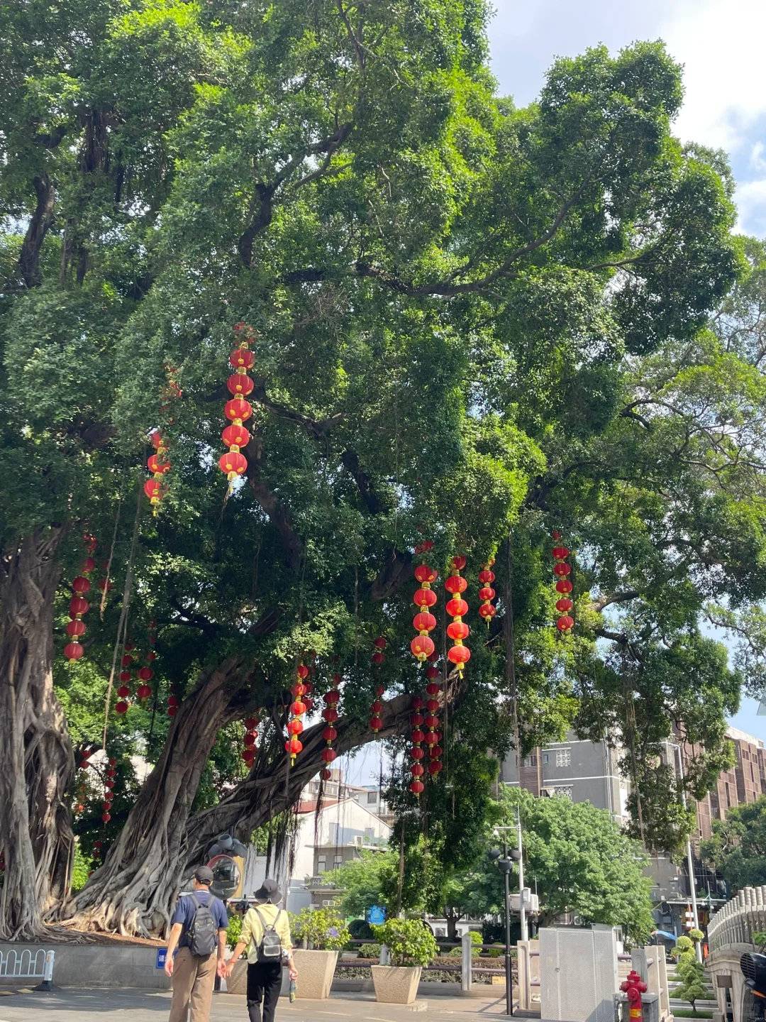 山东人来广州两年了 越来越爱这座城市