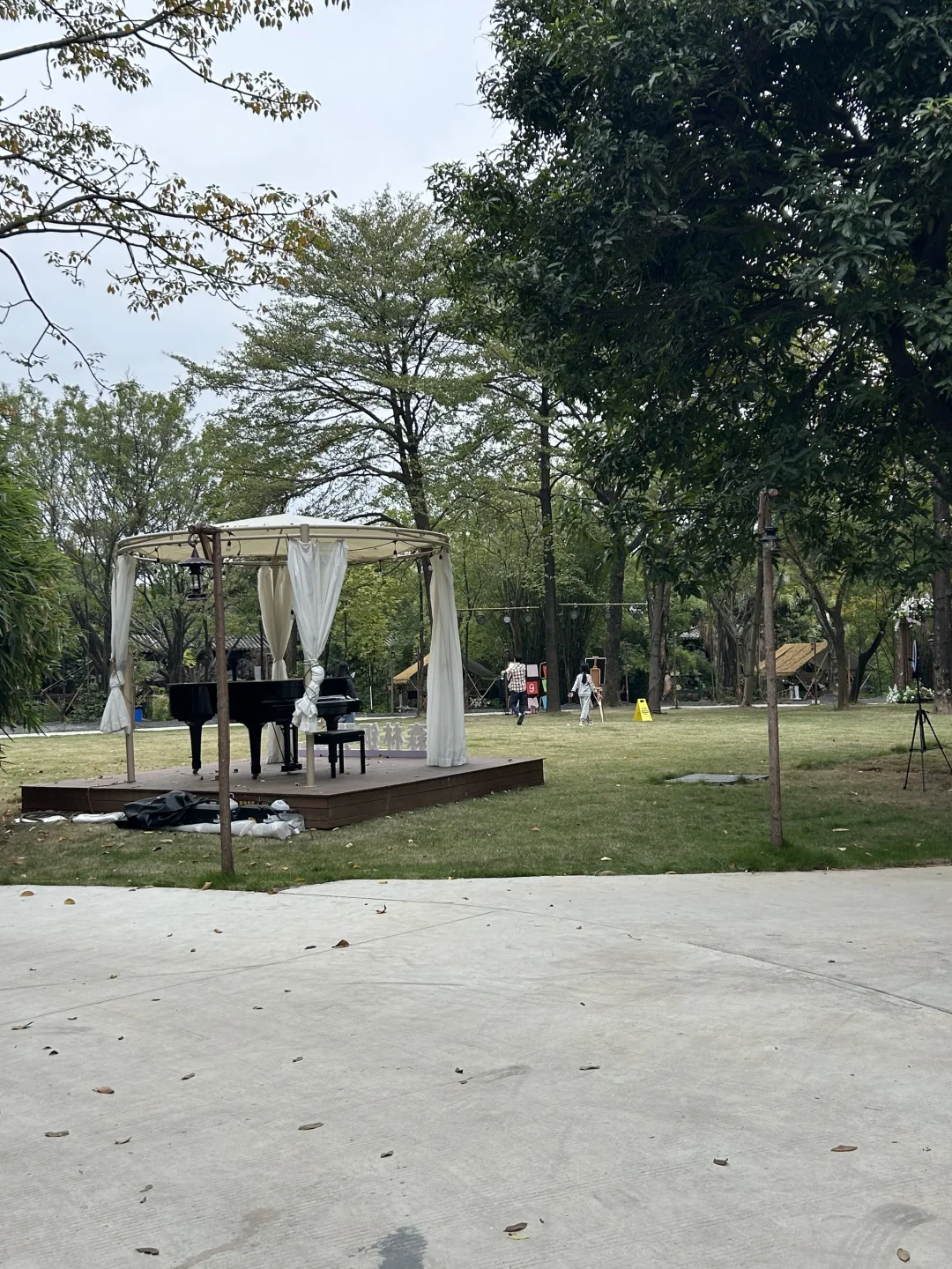 周末去哪里| 东莞蝴蝶岛🦋