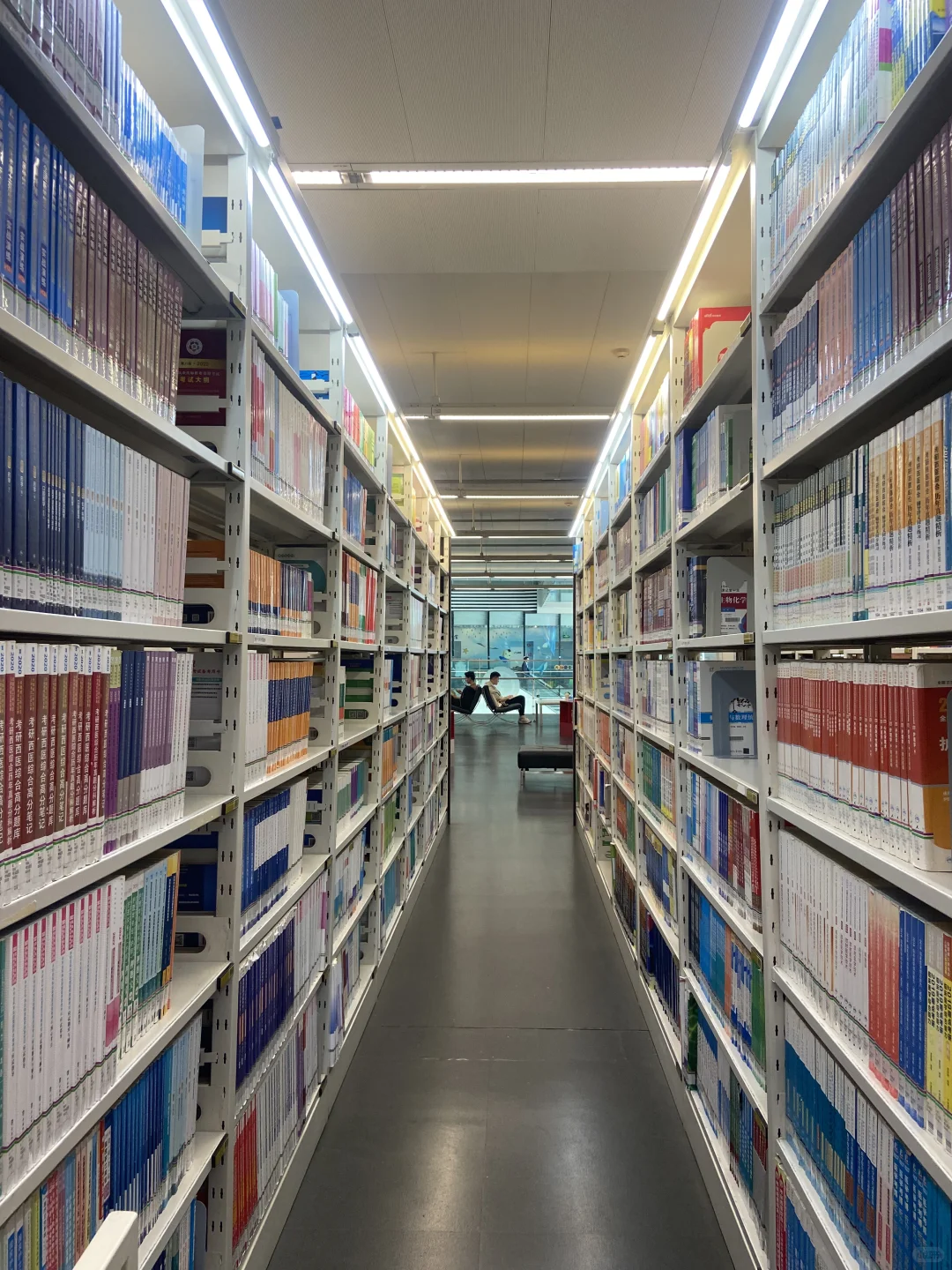 广州的天气太好了