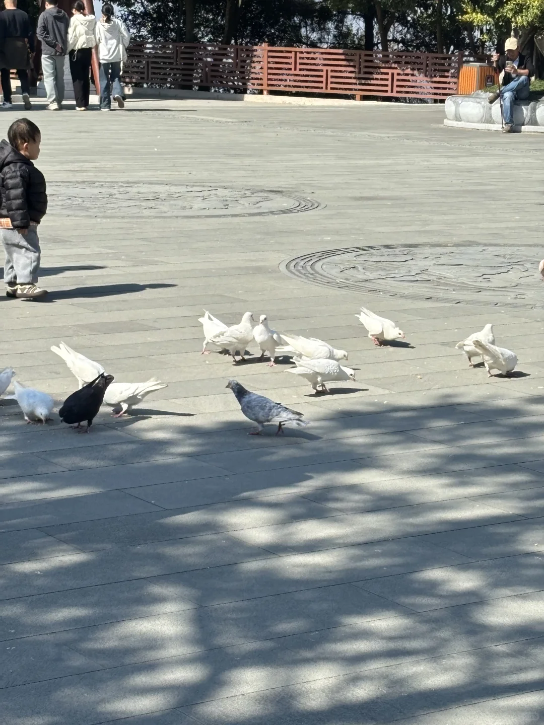 总要来一趟观音山见见观音菩萨吧🥰🥰