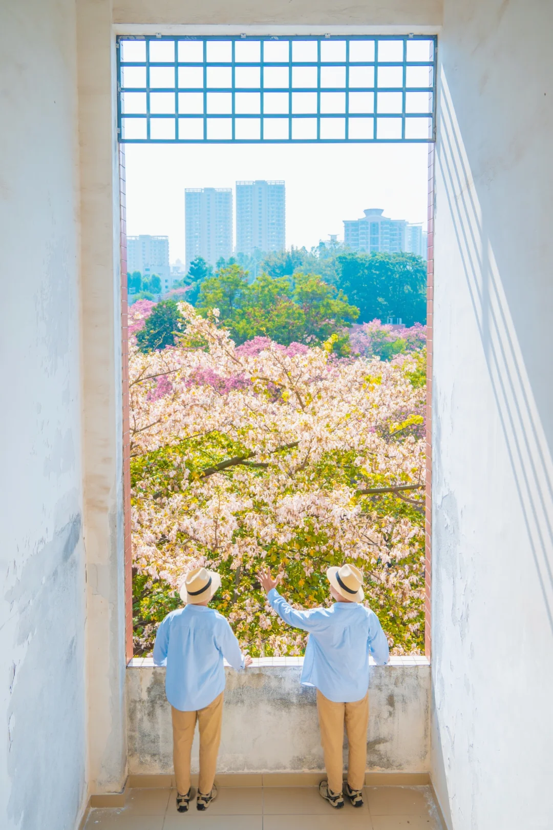 这个周末游广州‼️别错过这5️⃣个赏花地