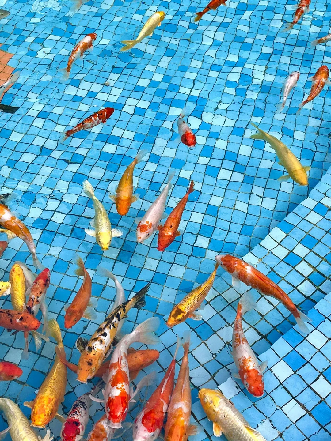 别再瞎逛广州动物园了！这份攻略超实用✅