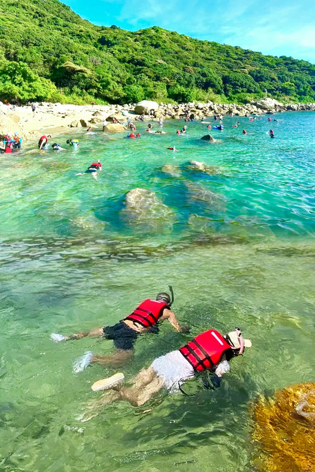 98/人‼️深圳玻璃海浮潜赶海玩个够‼️