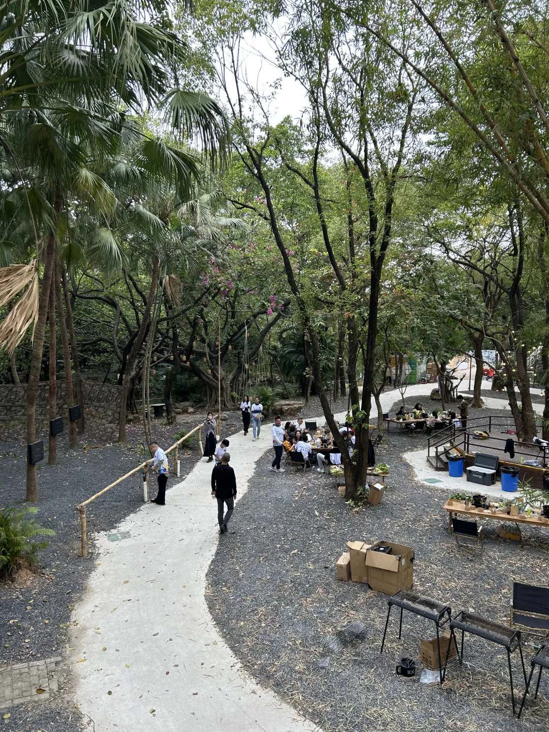 周末去哪里| 东莞蝴蝶岛🦋