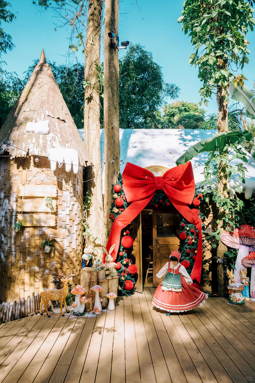 在东莞‼️我找到了爱丽丝梦游的秘境童话森林