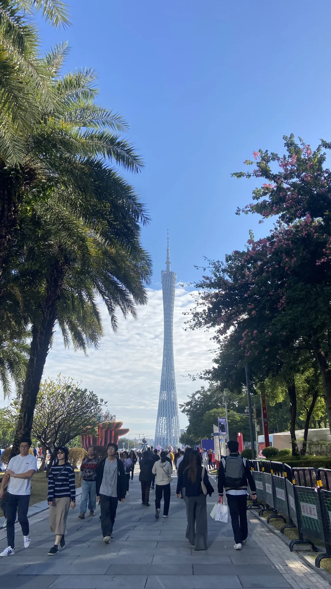 广州的天气太好了