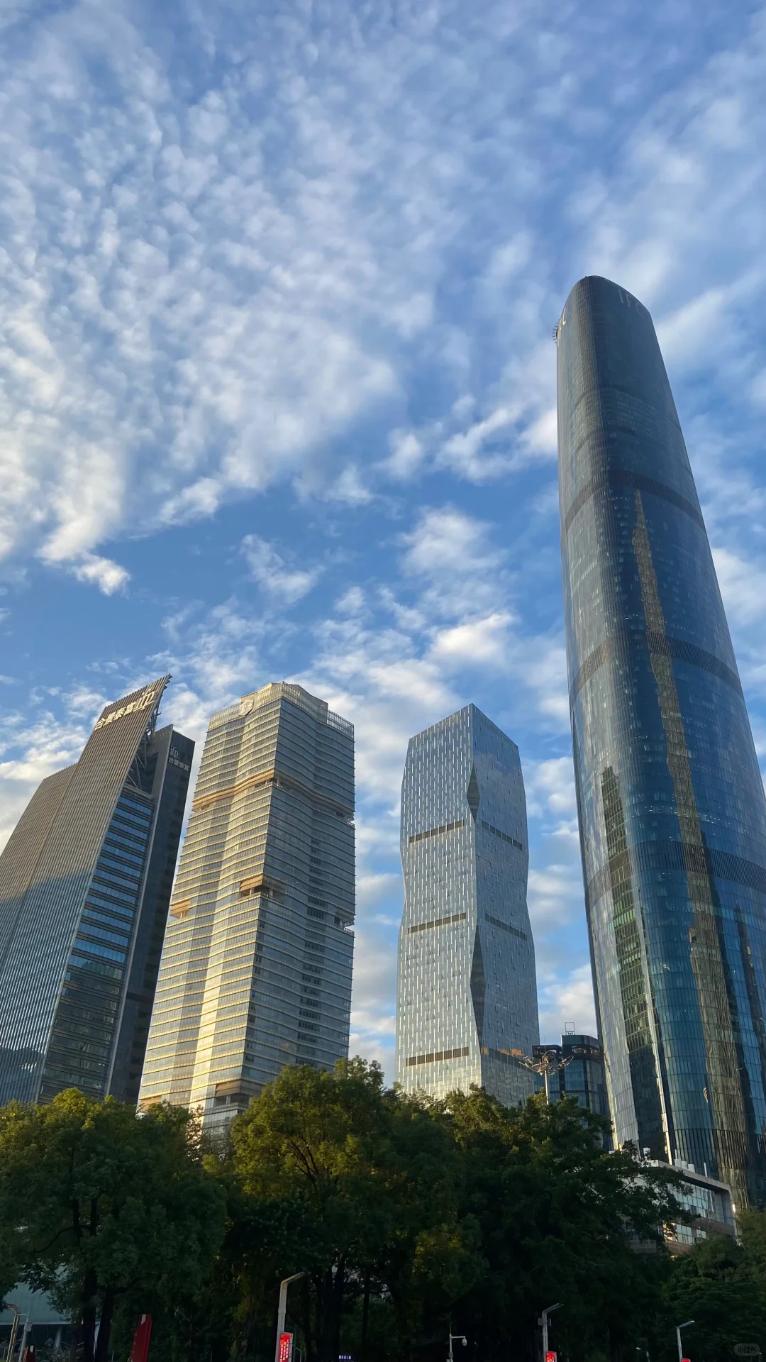 广州的天气太好了