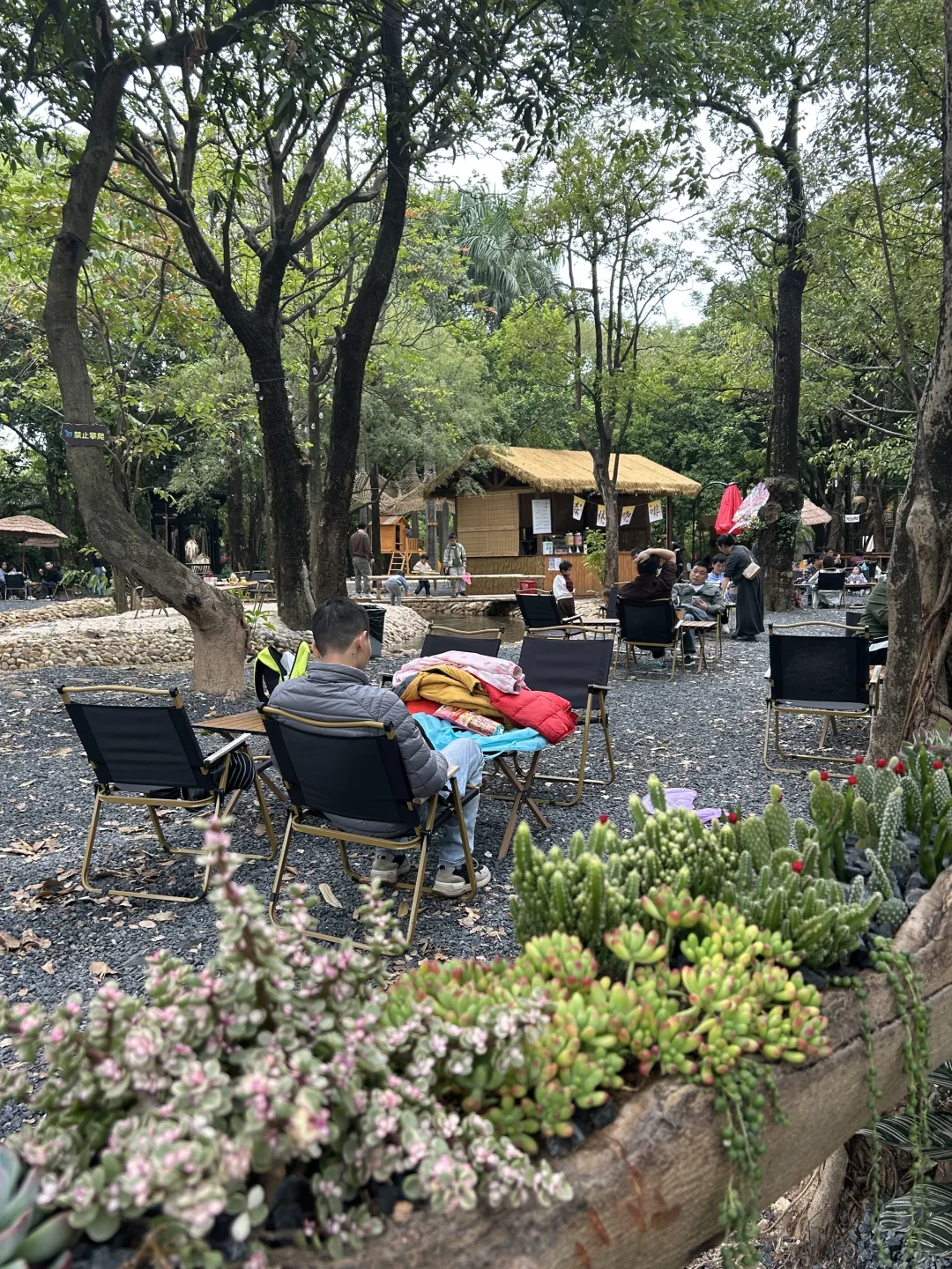 周末去哪里| 东莞蝴蝶岛🦋