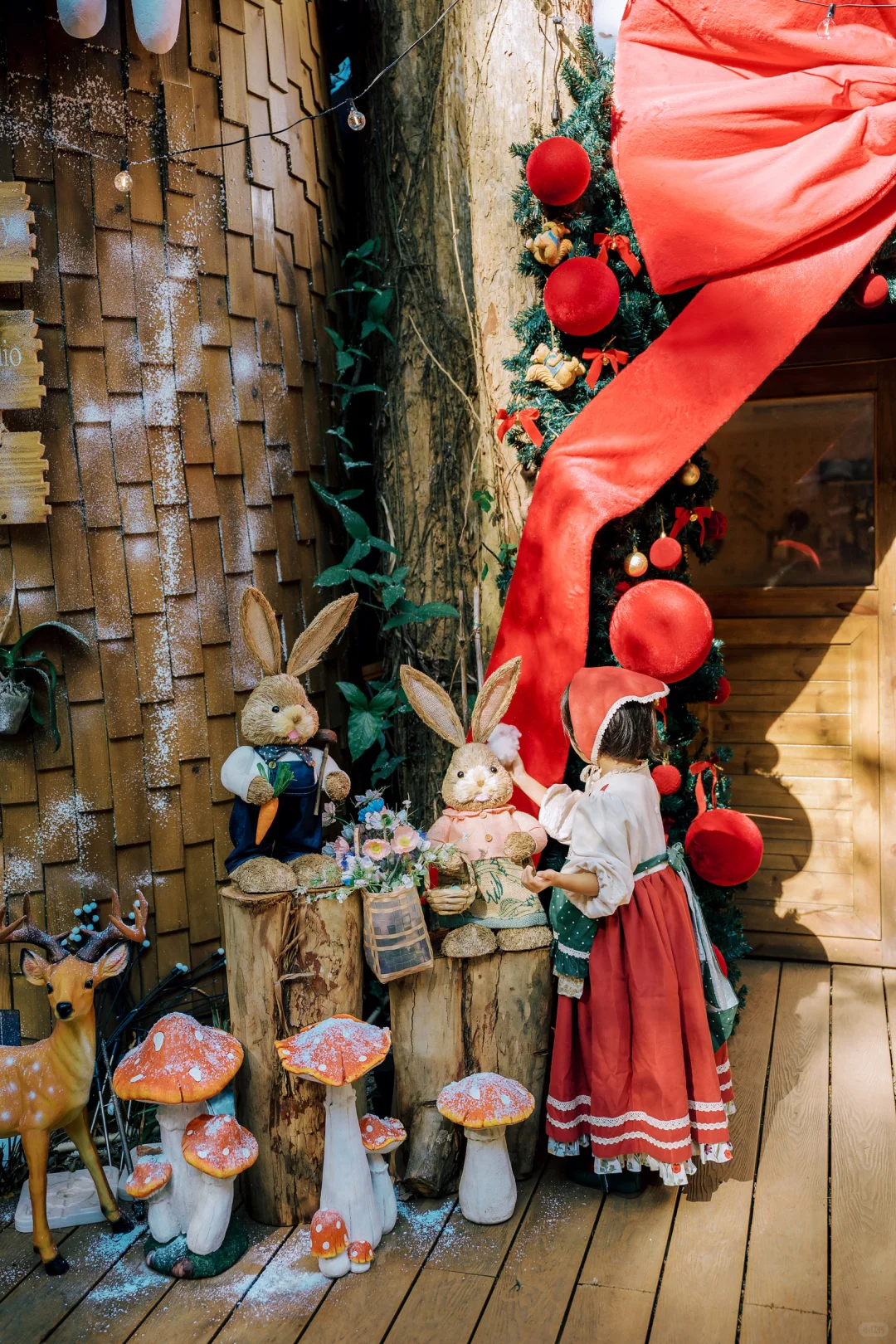 在东莞‼️我找到了爱丽丝梦游的秘境童话森林