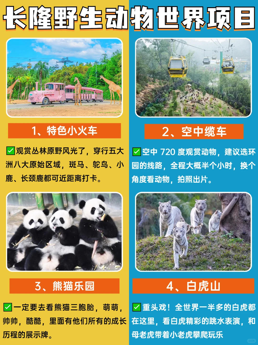 广州长隆最新攻略🔥附避坑秘籍