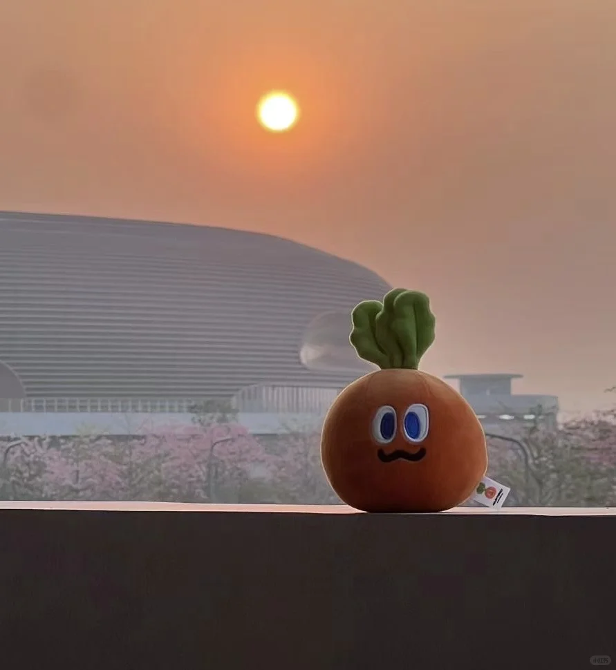 五月天很好，南沙交通不太行(广州首场受害版