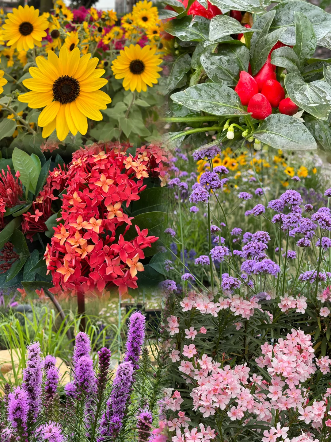 广州City Walk也太好拍了｜花城真的名不虚传